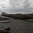 La Push WA, 2011